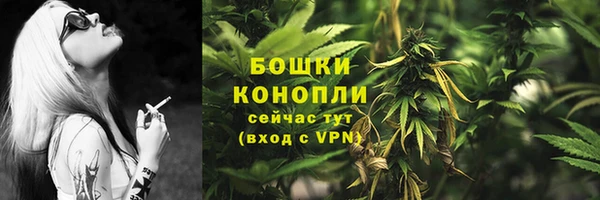 стаф Балахна