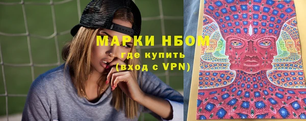 стаф Балахна