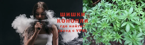 стаф Балахна